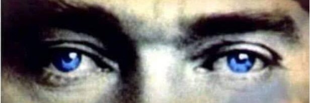 Burgaz39 banner