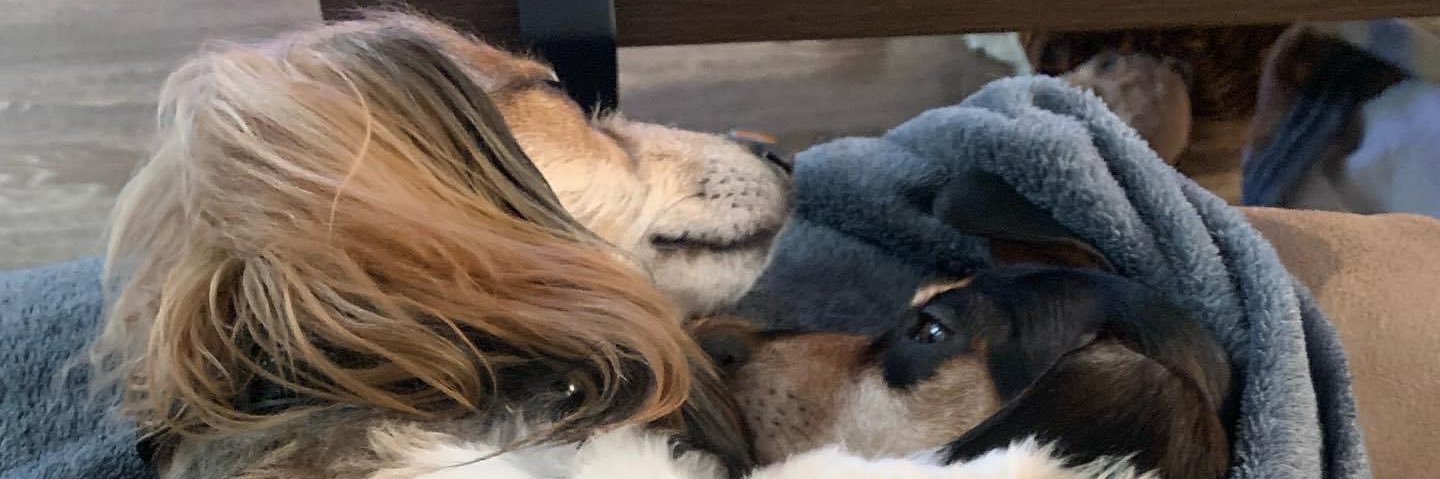 OCRyanLedbetter's profile banner image