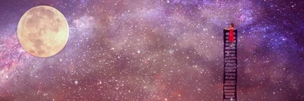 laimperturbable's profile banner image