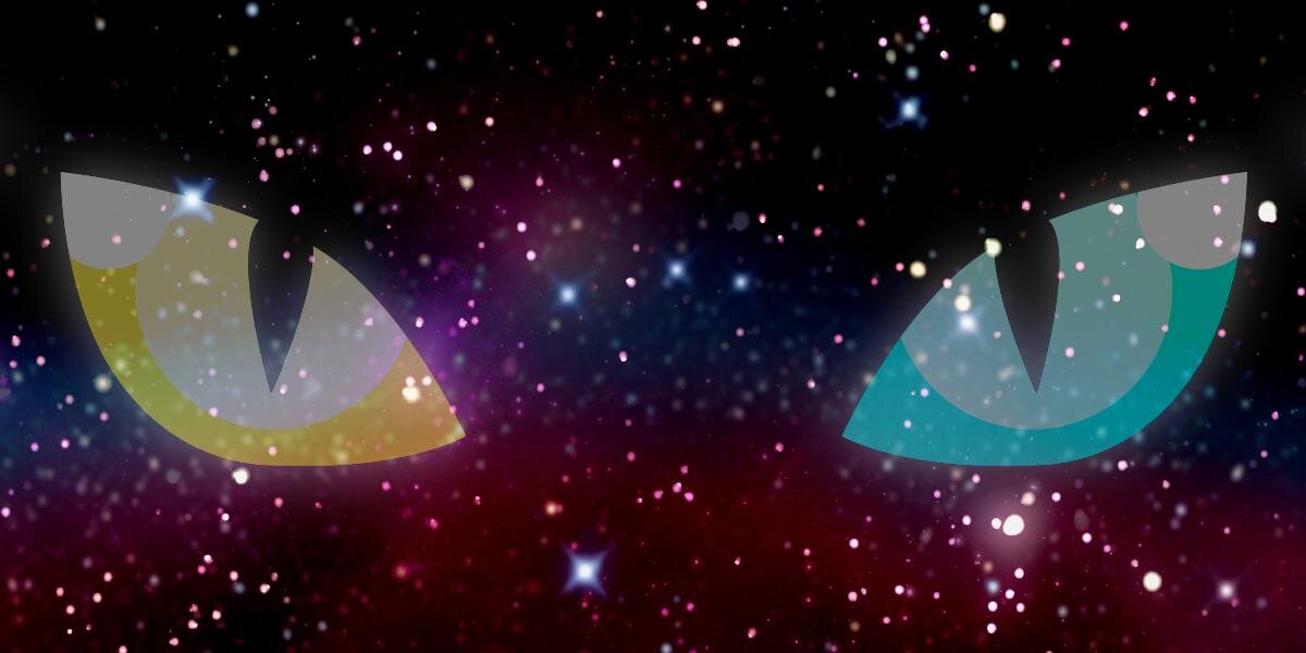 DuskyHunters's profile banner image
