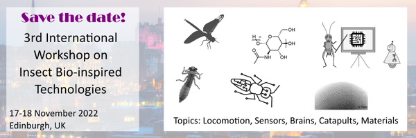 Iwibit2022 Profile Banner