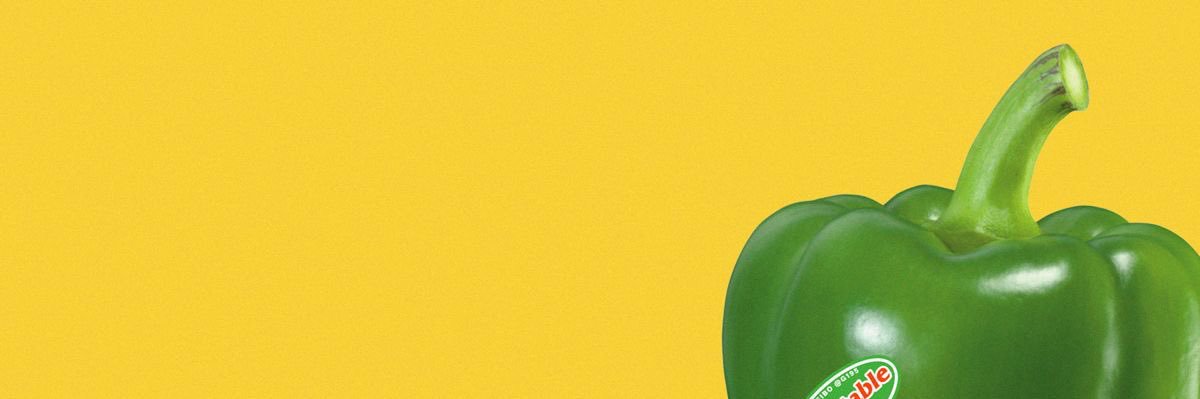 orchid banner