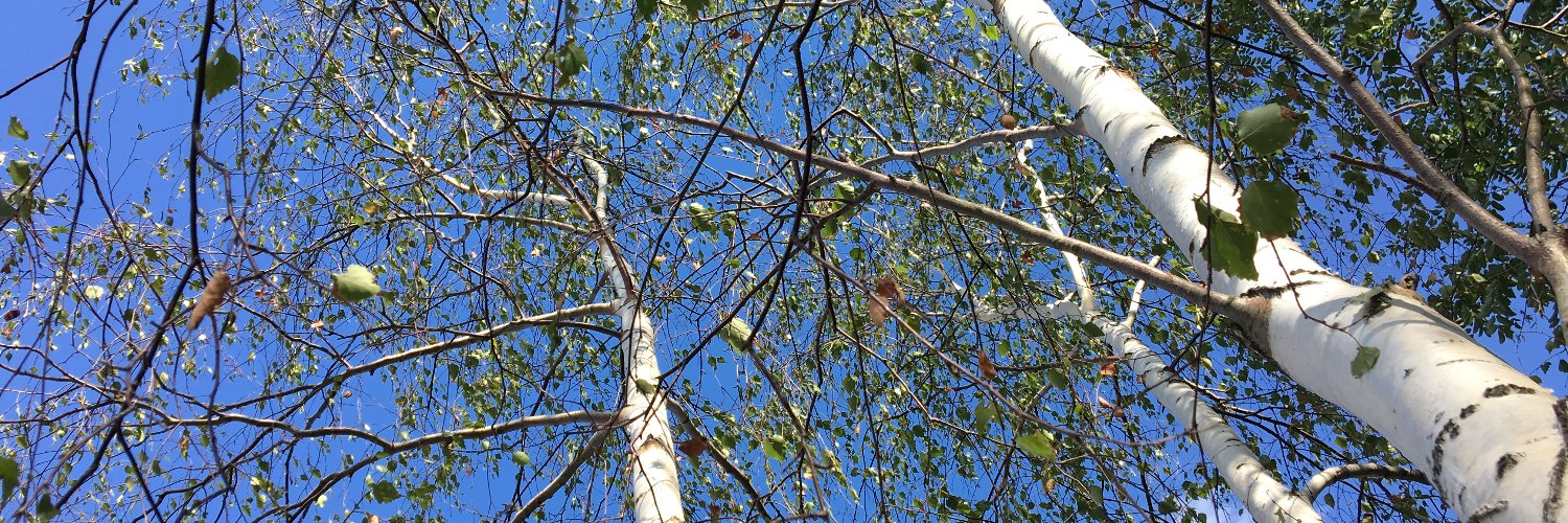 CHART Research Group banner