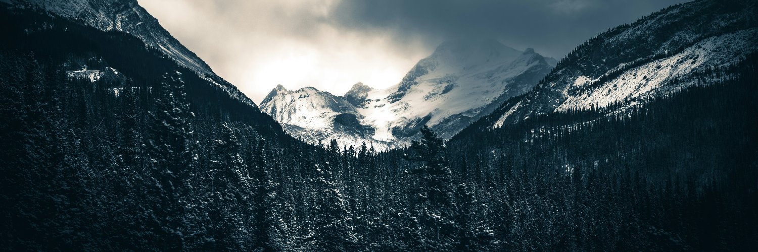 stoumann's profile banner image