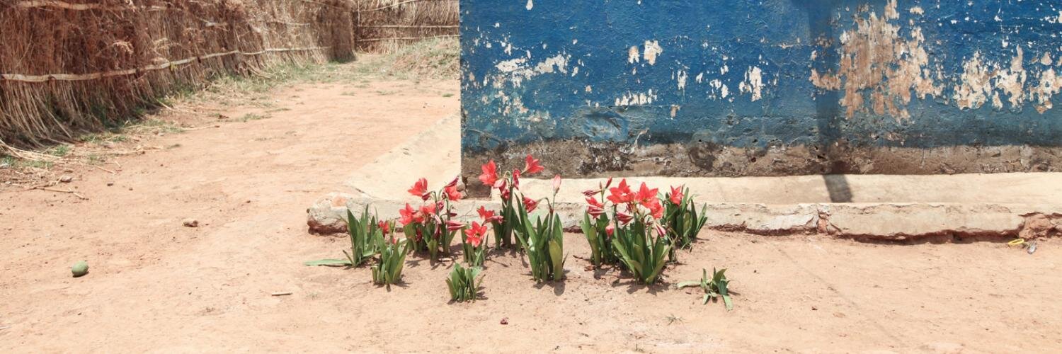 lauren serota banner