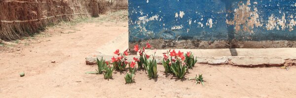 serota Profile Banner