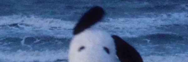 TP214510 Profile Banner