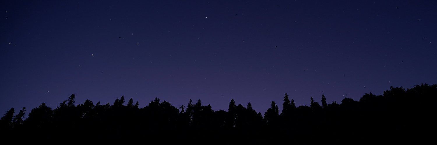 Suzuki スズキ banner