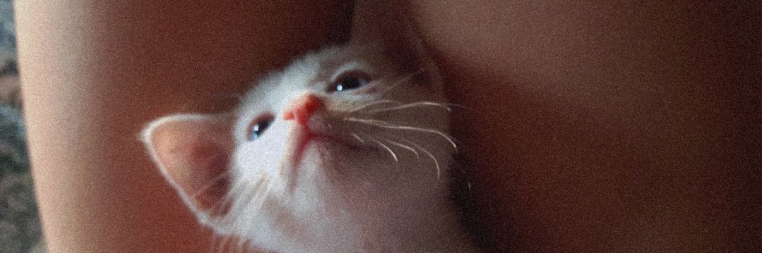 CotiiGallo's profile banner image