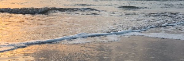 cbiai2es Profile Banner