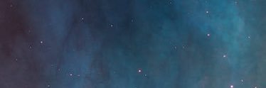 Nexa banner