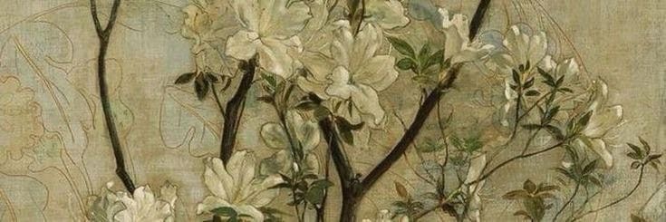 𝓼𝓮𝓿𝓺𝓲🌻 banner
