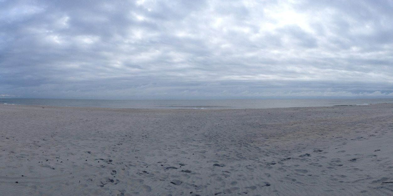 Simone Petrella banner