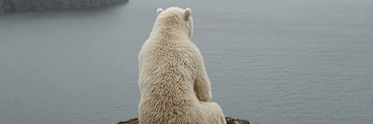 ميمز بندر الوقيت banner