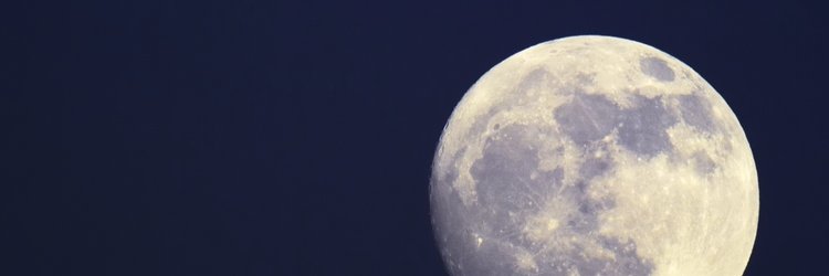 Moon Flight 🎗 🦉 ☮ 🕊's banner