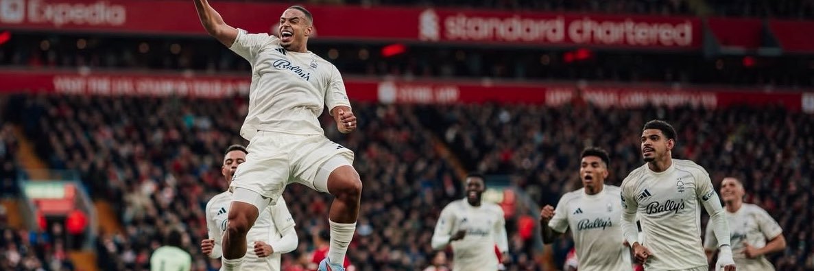 Classic Fo(R)est banner