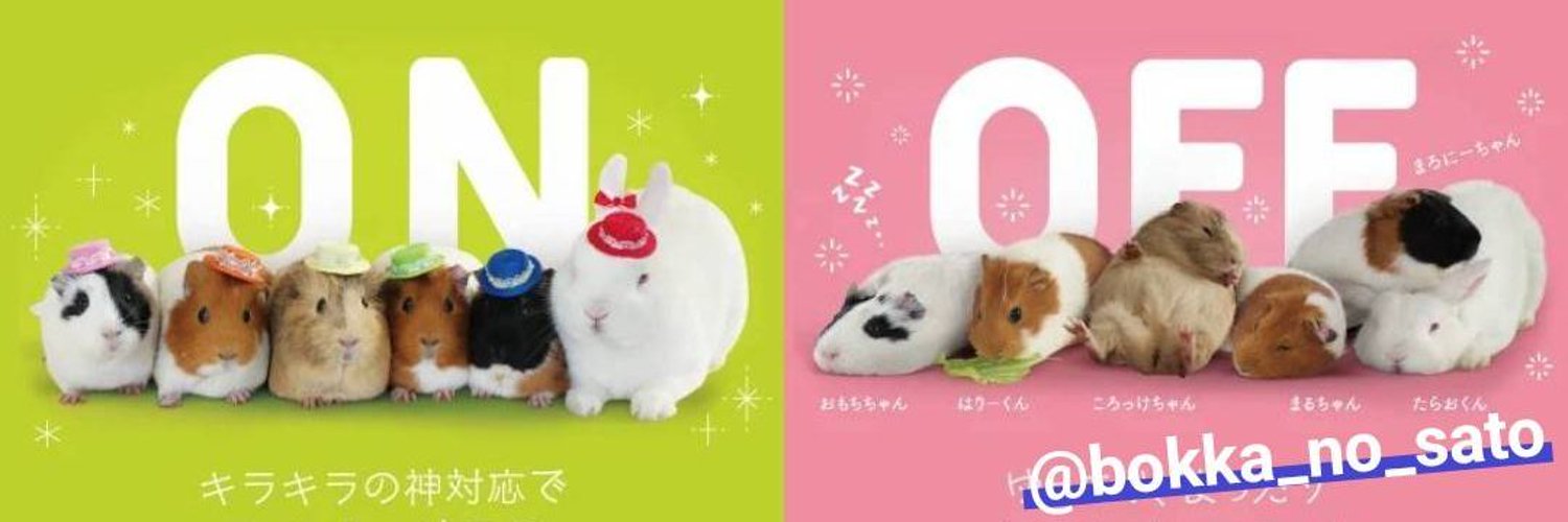 進撃の懸賞生活6年目 banner