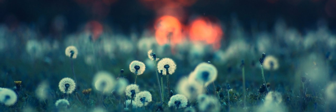 _Sibelle_'s profile banner image