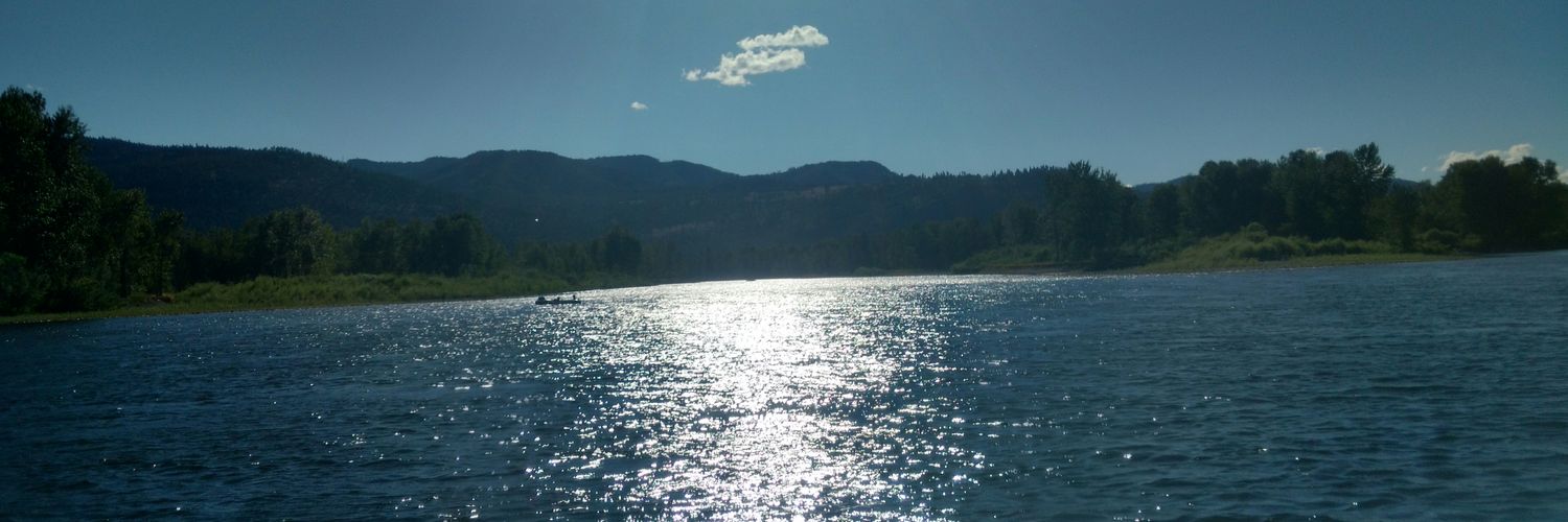 Mistywaters banner