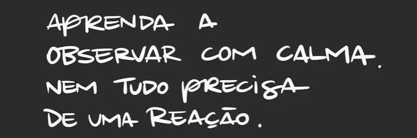 Ludovico Von Pato da Linha's banner