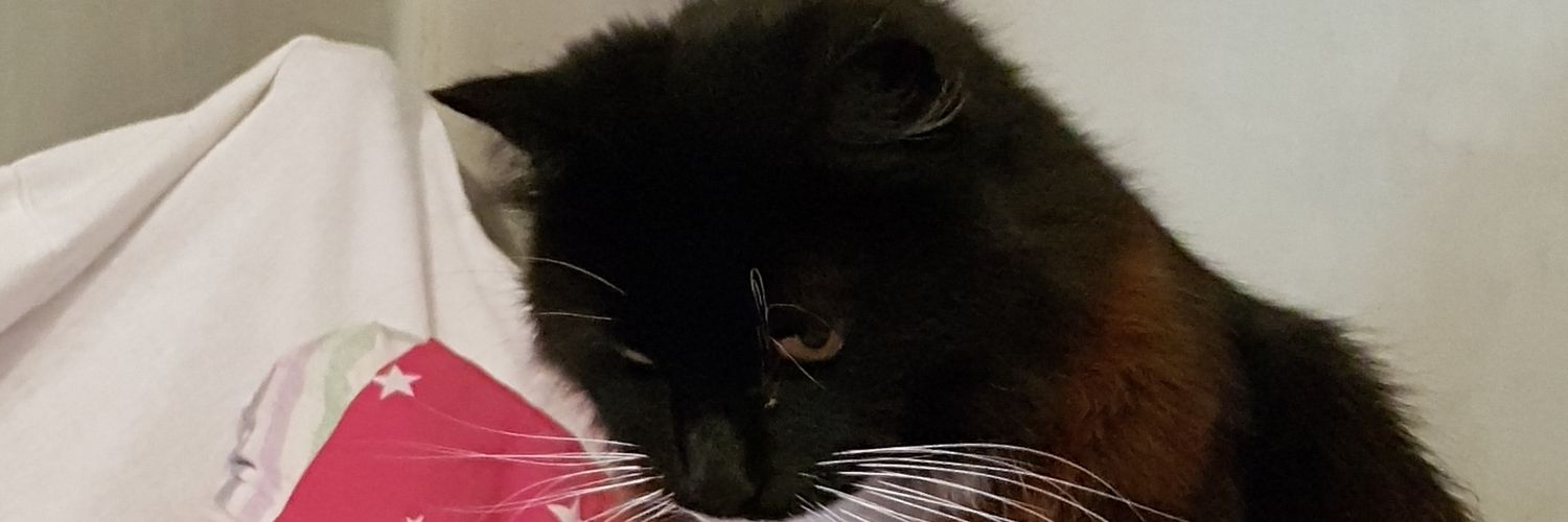 juefreem's profile banner image