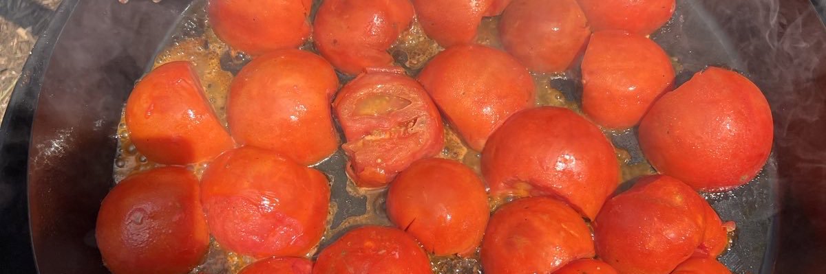chutneyverse's profile banner image