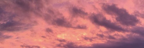 reganspencerr Profile Banner