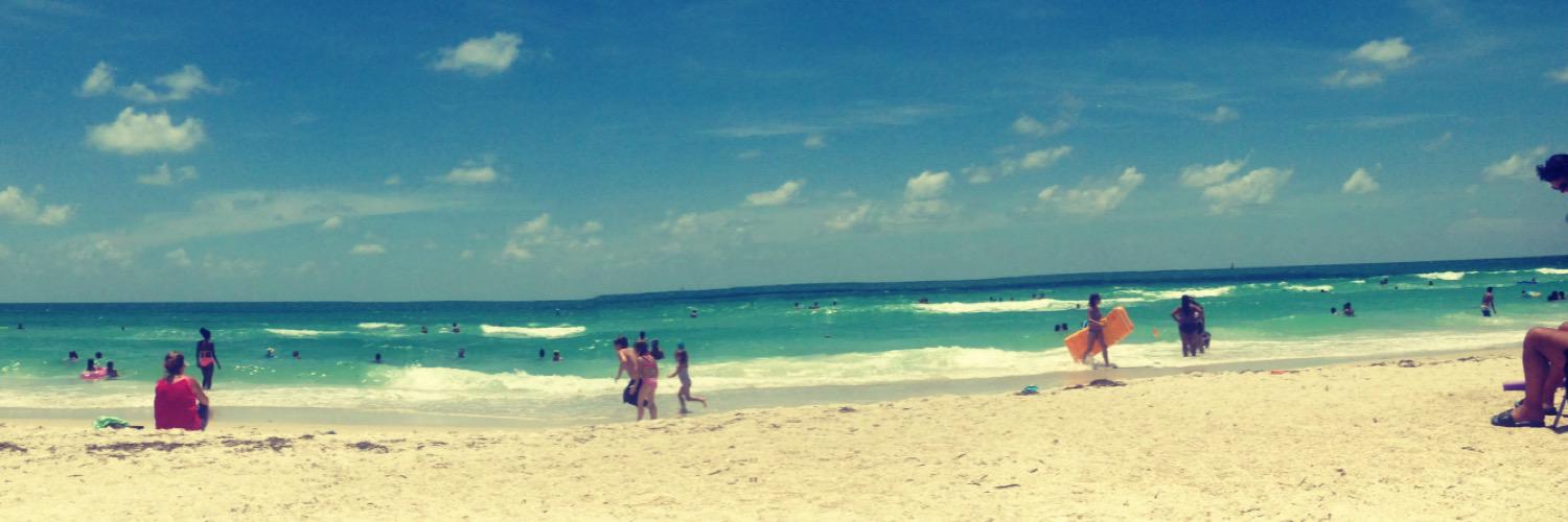 Molly_Bauer's profile banner image