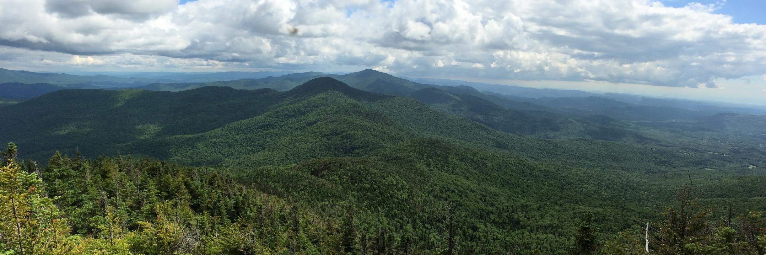 Bill Bessette 🌲 NJ 🌲 banner
