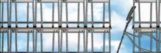 Negi Springfield banner