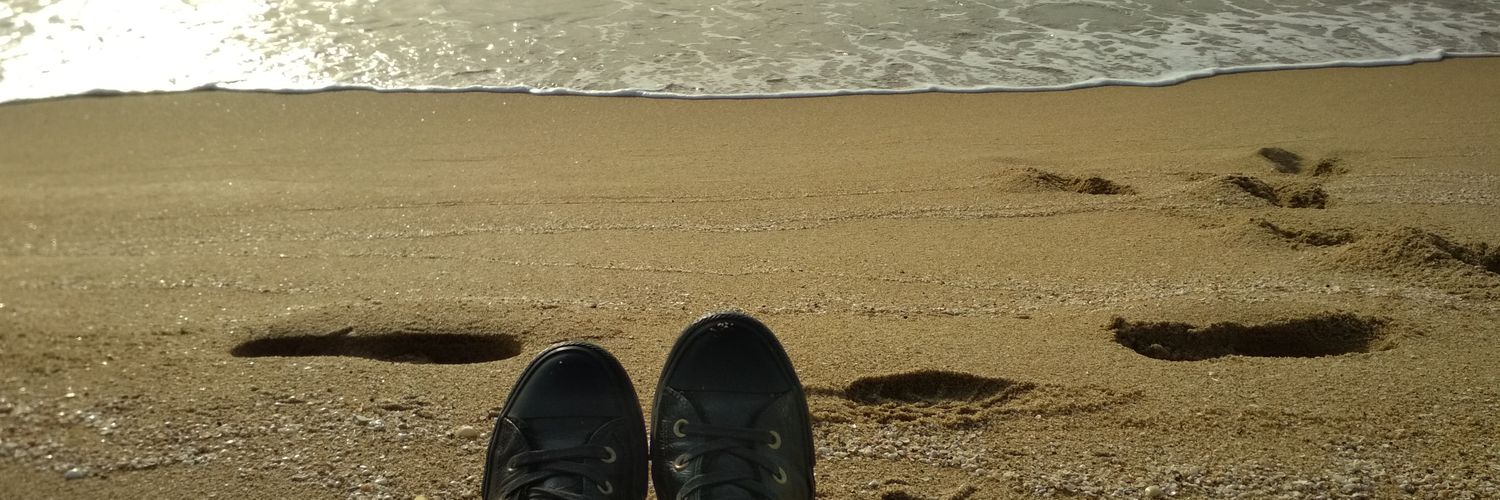 teruza_'s profile banner image