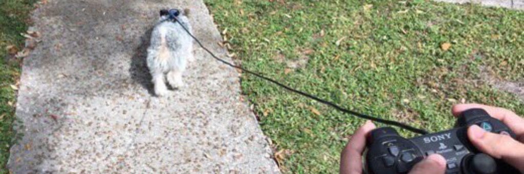 A_Boy_Duh's profile banner image