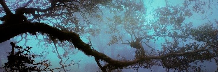 ᅠᅠ✷ᅠ 𝐈𝐌𝐏𝐄𝐓𝐔𝕆𝕌𝕊 ᵎ!ᵎ banner