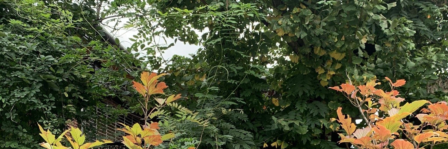 haerimieda's profile banner image