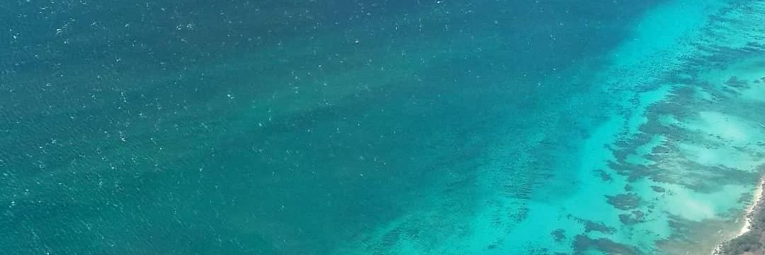 sandraftrn's profile banner image