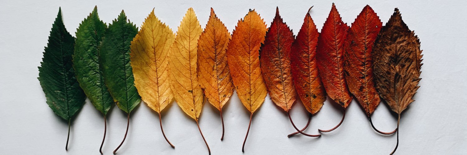 Kulbinder Mann banner