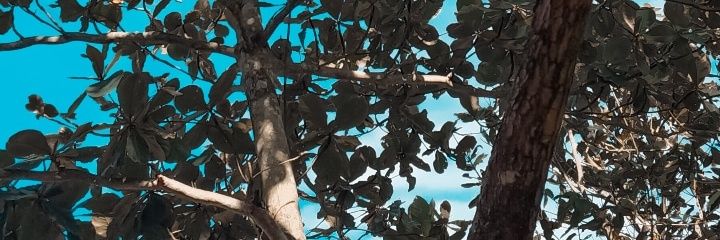 fansydw's profile banner image