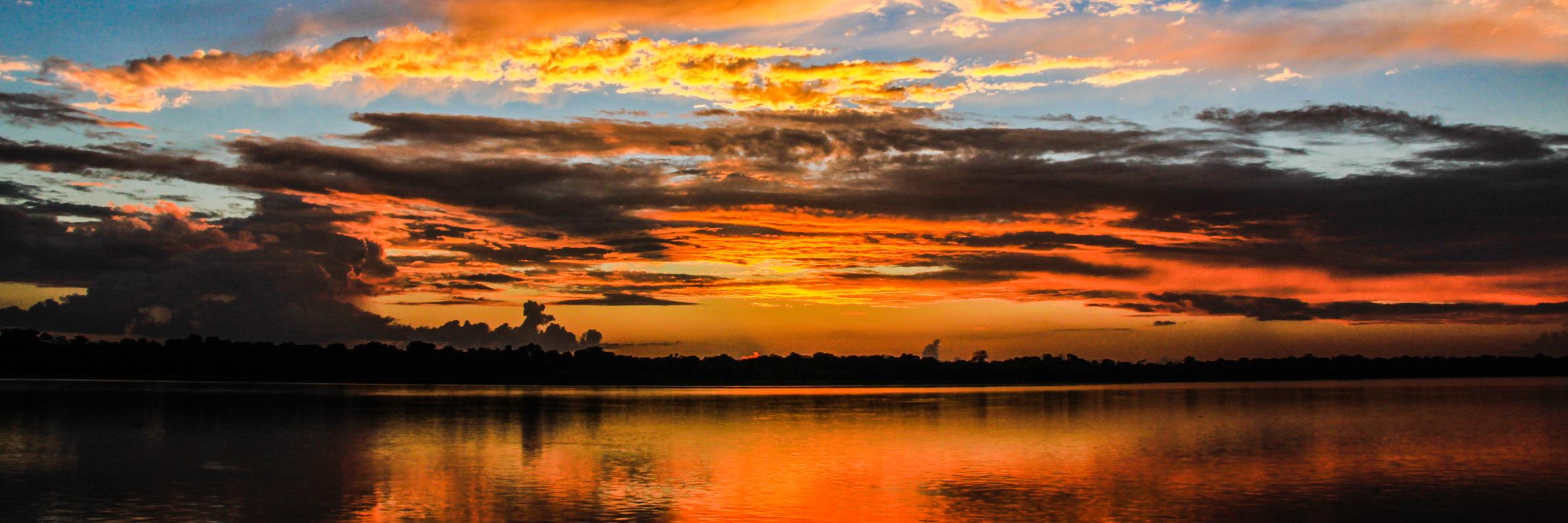 ray_msal's profile banner image