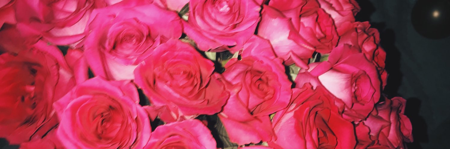 natasha__ar's profile banner image