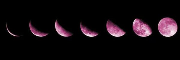 simsunshinez Profile Banner