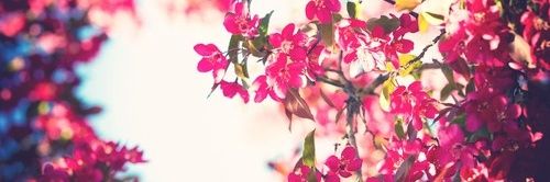 noha_elbanna's profile banner image