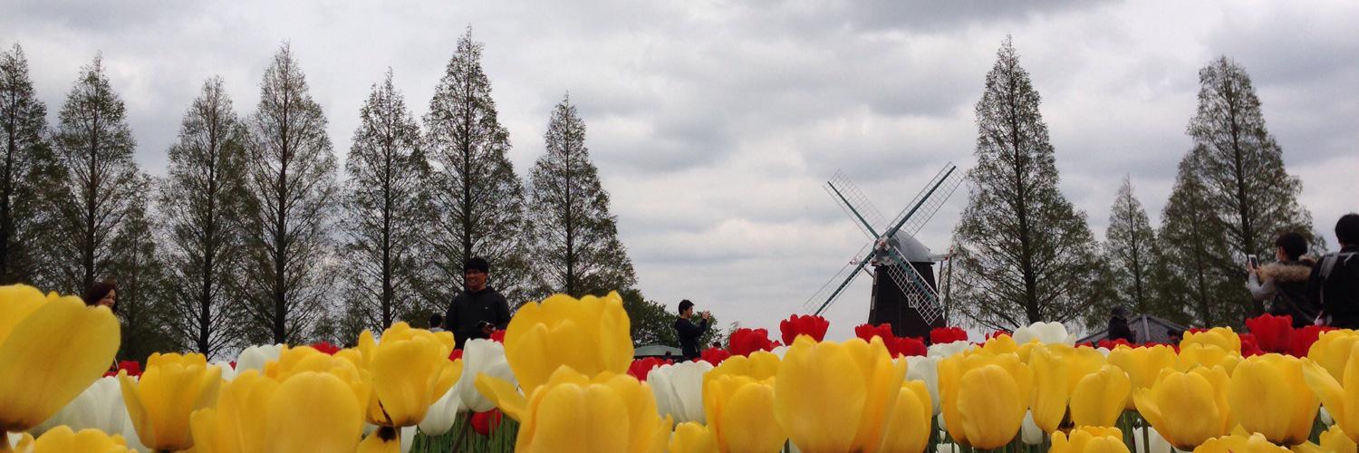 lhaz01's profile banner image