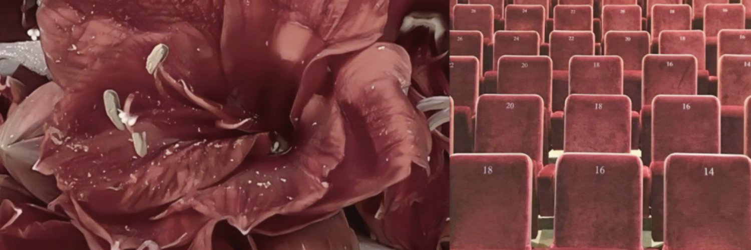 rinn, wa onlyy banner