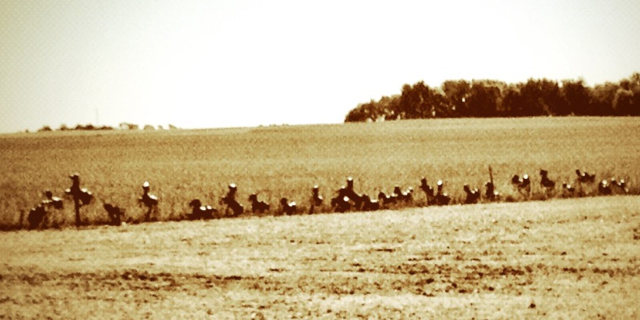 Daren Mueller banner