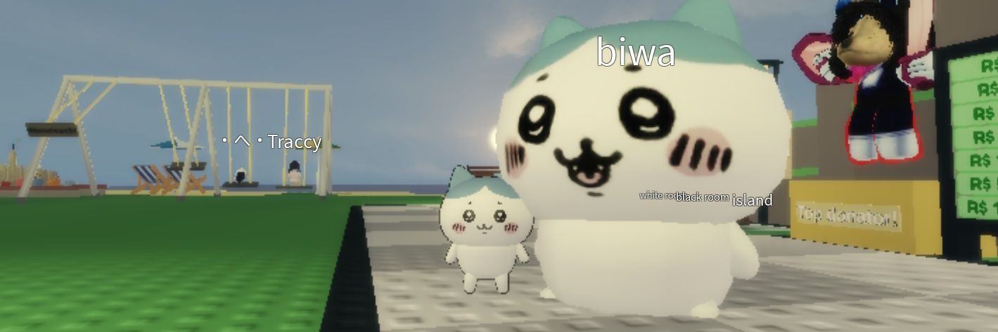 hinaacha_'s profile banner image