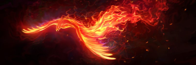 ali_han's profile banner image