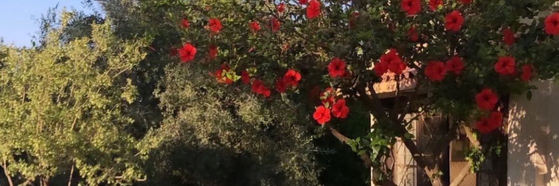 Saradhair's profile banner image