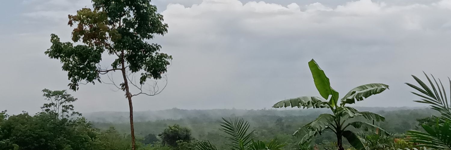 janisibuu banner
