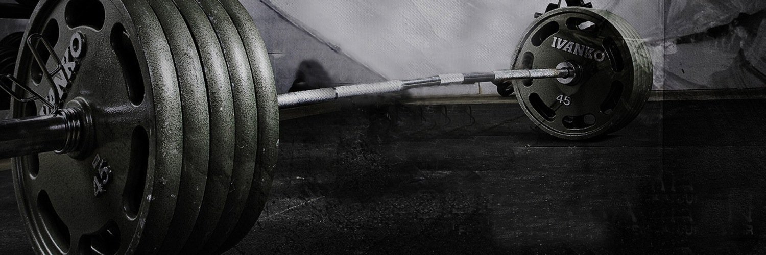 thebritishbully's profile banner image