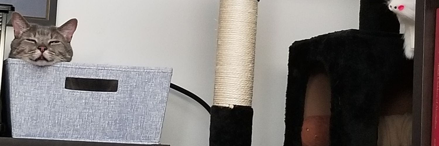 catlikegraceful's profile banner image